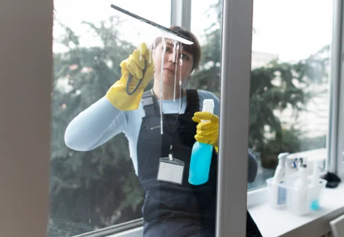 Nettoyage de vitres intérieures et extérieures à Lavault-Sainte-Anne